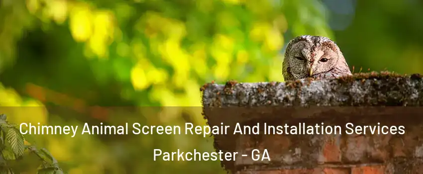 Chimney Animal Screen Repair And Installation Services Parkchester - GA