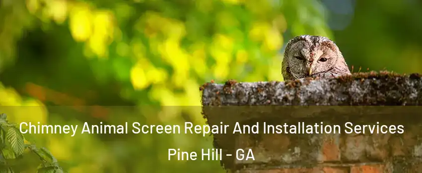 Chimney Animal Screen Repair And Installation Services Pine Hill - GA