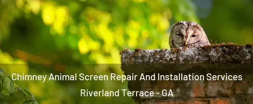 Chimney Animal Screen Repair And Installation Services Riverland Terrace - GA
