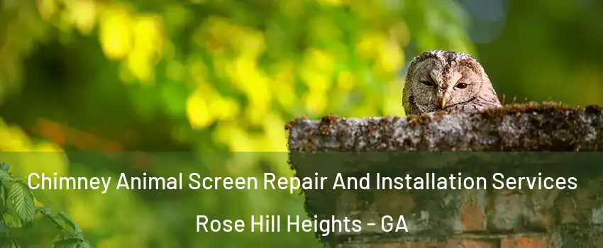 Chimney Animal Screen Repair And Installation Services Rose Hill Heights - GA