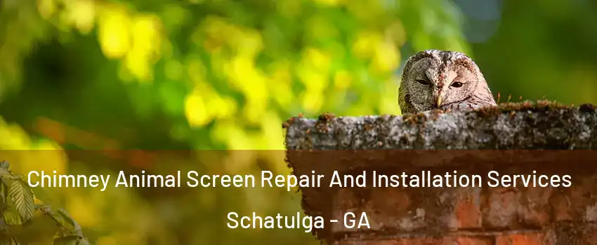 Chimney Animal Screen Repair And Installation Services Schatulga - GA