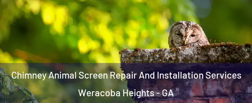 Chimney Animal Screen Repair And Installation Services Weracoba Heights - GA