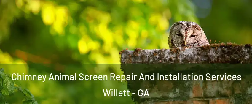 Chimney Animal Screen Repair And Installation Services Willett - GA