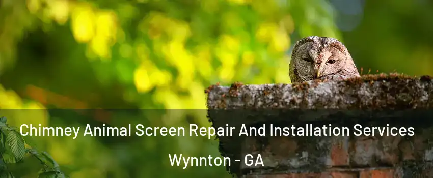 Chimney Animal Screen Repair And Installation Services Wynnton - GA