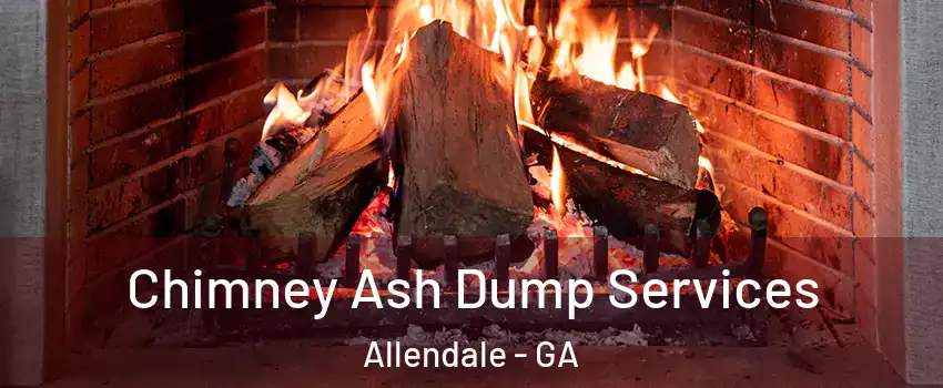 Chimney Ash Dump Services Allendale - GA