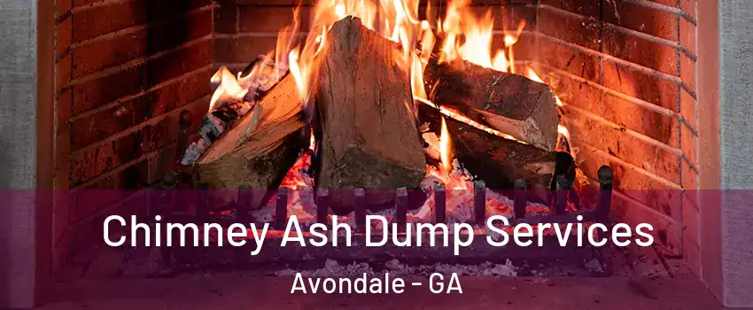 Chimney Ash Dump Services Avondale - GA