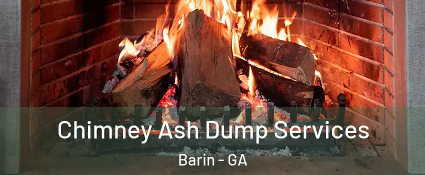 Chimney Ash Dump Services Barin - GA