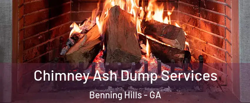 Chimney Ash Dump Services Benning Hills - GA