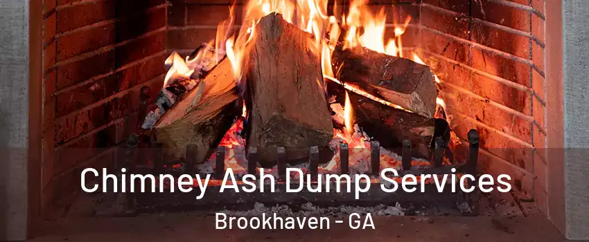 Chimney Ash Dump Services Brookhaven - GA