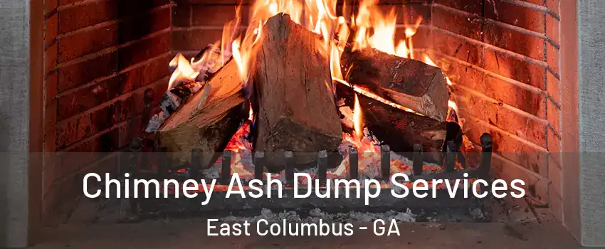 Chimney Ash Dump Services East Columbus - GA
