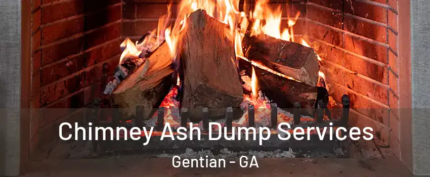 Chimney Ash Dump Services Gentian - GA