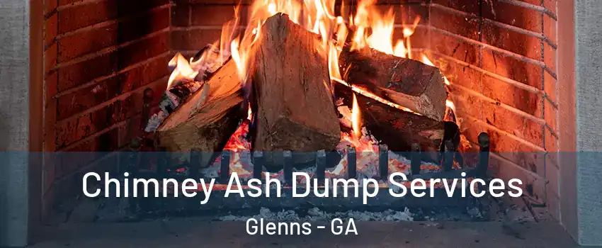 Chimney Ash Dump Services Glenns - GA