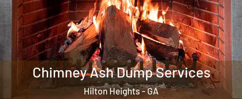 Chimney Ash Dump Services Hilton Heights - GA