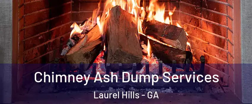 Chimney Ash Dump Services Laurel Hills - GA