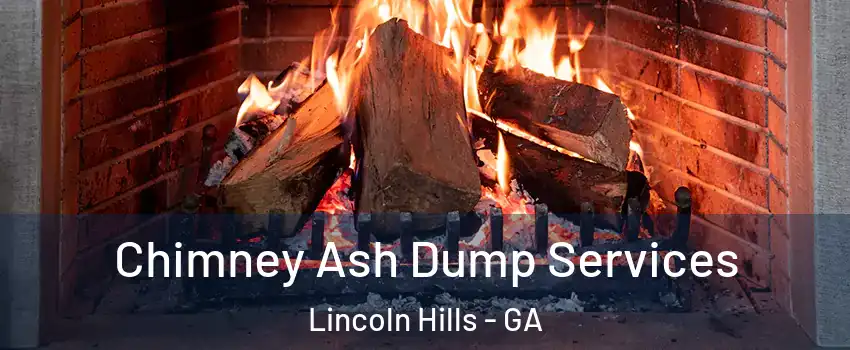 Chimney Ash Dump Services Lincoln Hills - GA