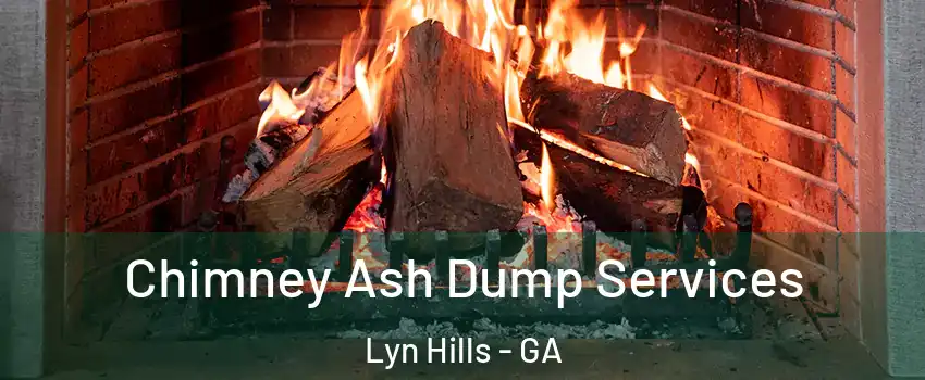 Chimney Ash Dump Services Lyn Hills - GA