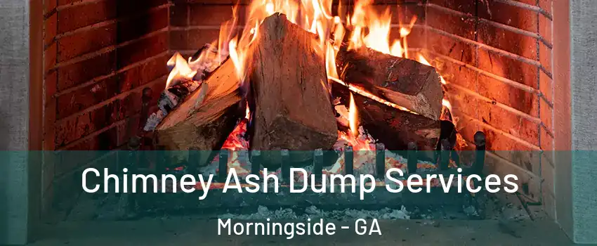 Chimney Ash Dump Services Morningside - GA