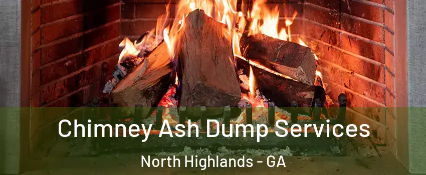 Chimney Ash Dump Services North Highlands - GA