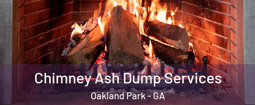 Chimney Ash Dump Services Oakland Park - GA
