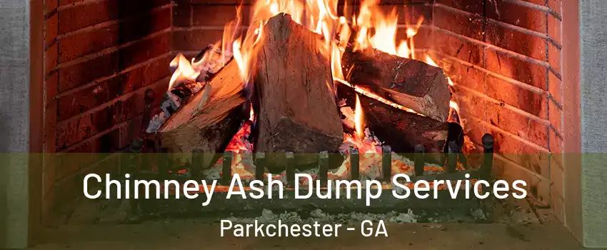 Chimney Ash Dump Services Parkchester - GA