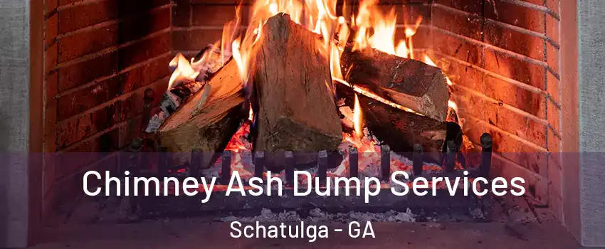 Chimney Ash Dump Services Schatulga - GA