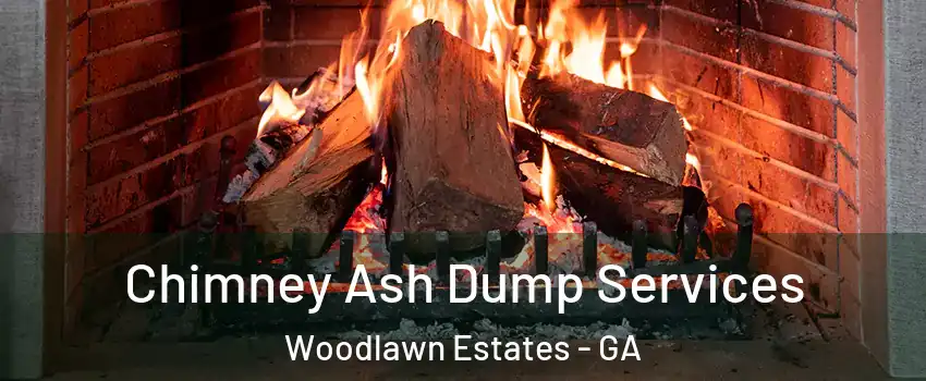 Chimney Ash Dump Services Woodlawn Estates - GA