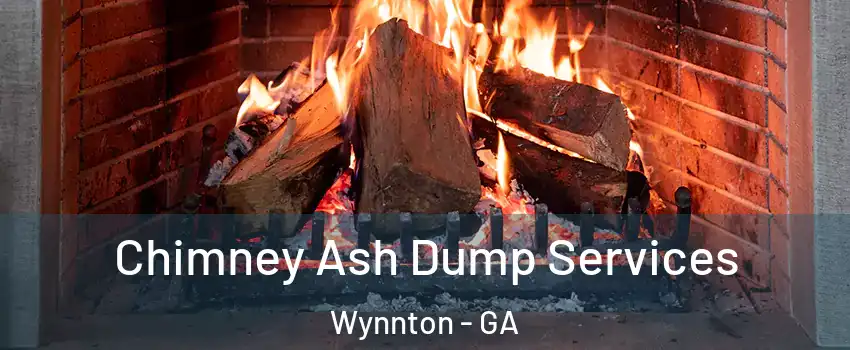 Chimney Ash Dump Services Wynnton - GA