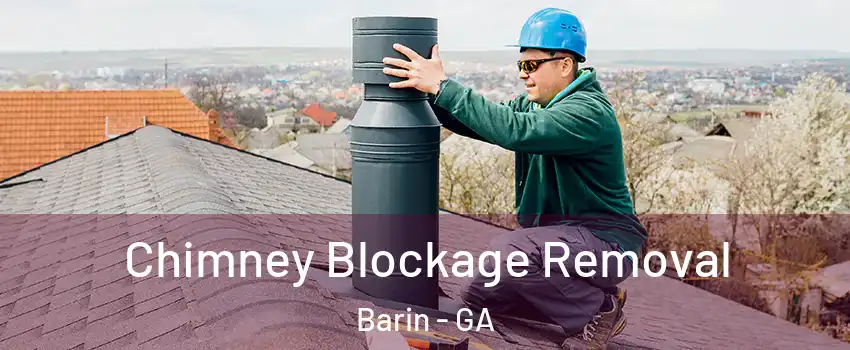 Chimney Blockage Removal Barin - GA