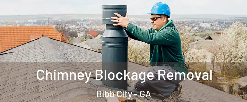 Chimney Blockage Removal Bibb City - GA