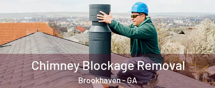 Chimney Blockage Removal Brookhaven - GA