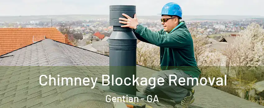 Chimney Blockage Removal Gentian - GA