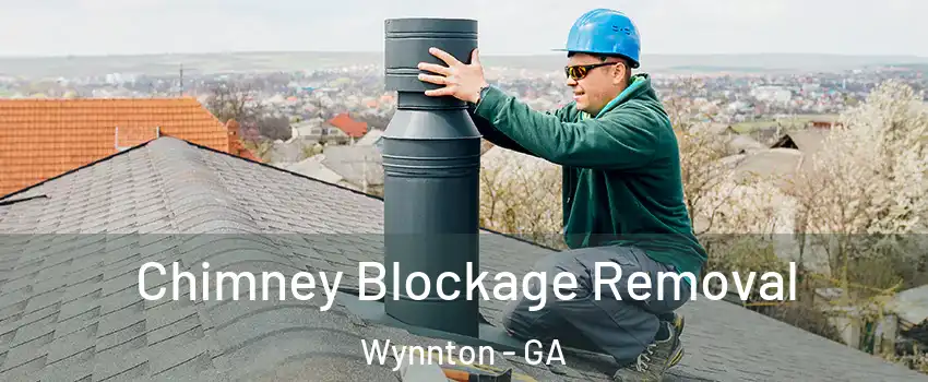Chimney Blockage Removal Wynnton - GA