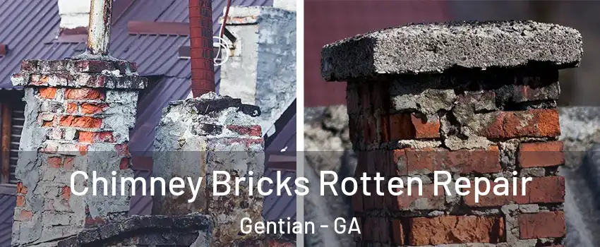 Chimney Bricks Rotten Repair Gentian - GA