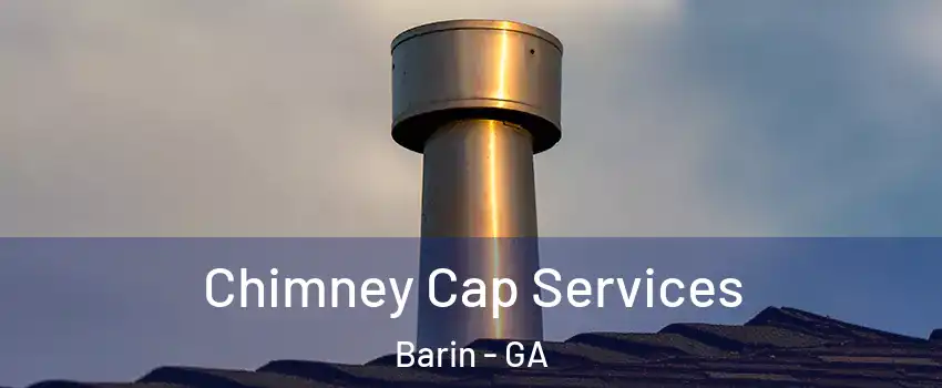 Chimney Cap Services Barin - GA