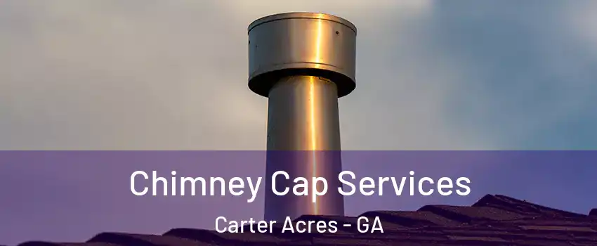 Chimney Cap Services Carter Acres - GA