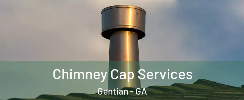 Chimney Cap Services Gentian - GA