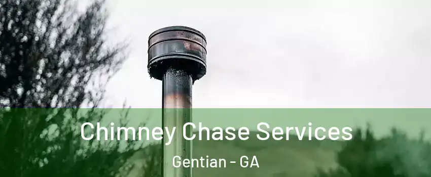 Chimney Chase Services Gentian - GA