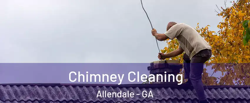 Chimney Cleaning Allendale - GA