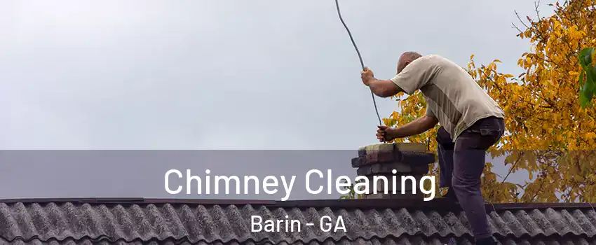 Chimney Cleaning Barin - GA