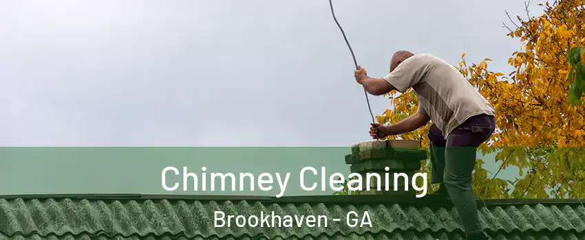 Chimney Cleaning Brookhaven - GA