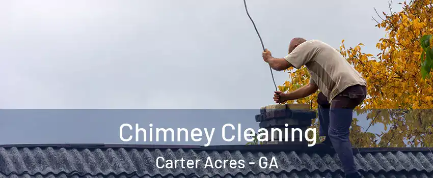 Chimney Cleaning Carter Acres - GA