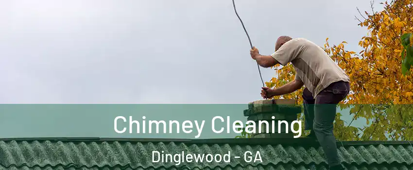 Chimney Cleaning Dinglewood - GA
