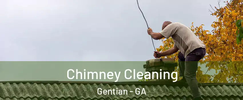 Chimney Cleaning Gentian - GA