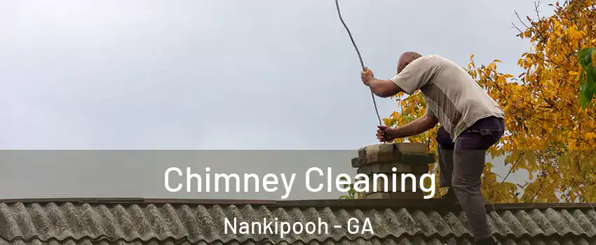 Chimney Cleaning Nankipooh - GA