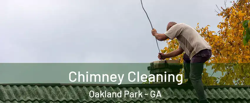 Chimney Cleaning Oakland Park - GA