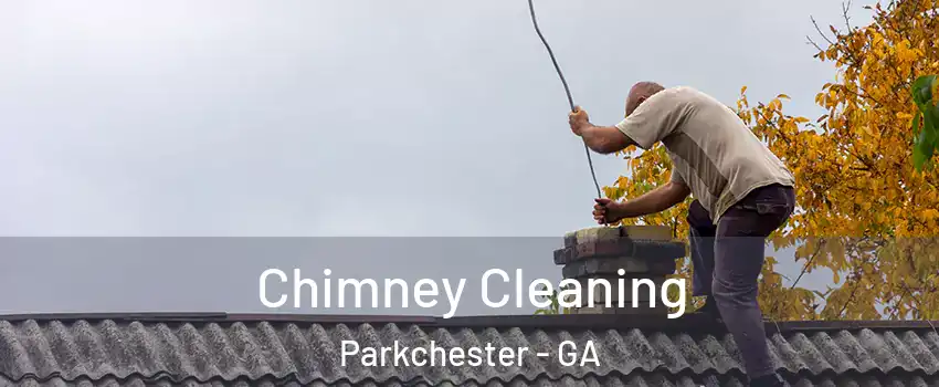 Chimney Cleaning Parkchester - GA