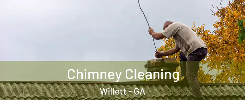 Chimney Cleaning Willett - GA