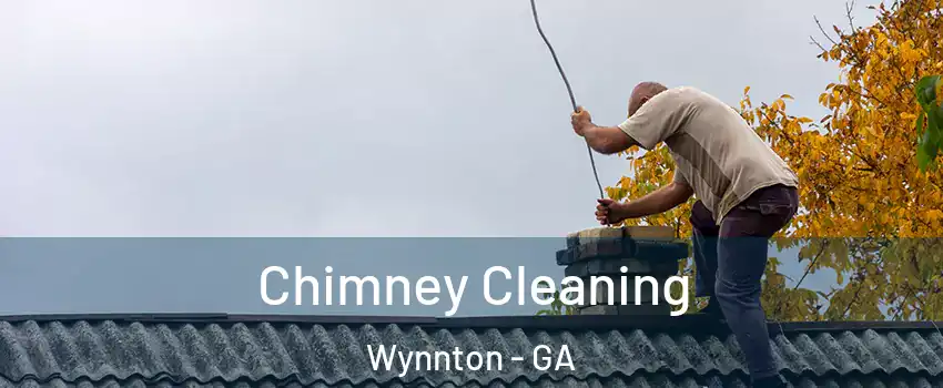 Chimney Cleaning Wynnton - GA