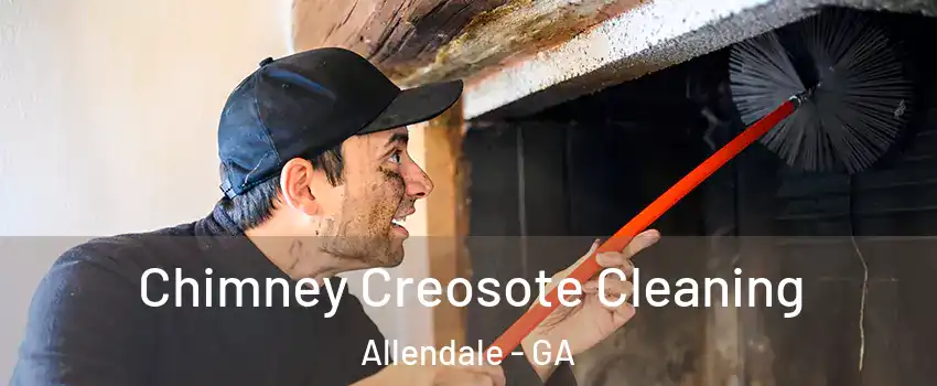 Chimney Creosote Cleaning Allendale - GA