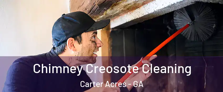 Chimney Creosote Cleaning Carter Acres - GA